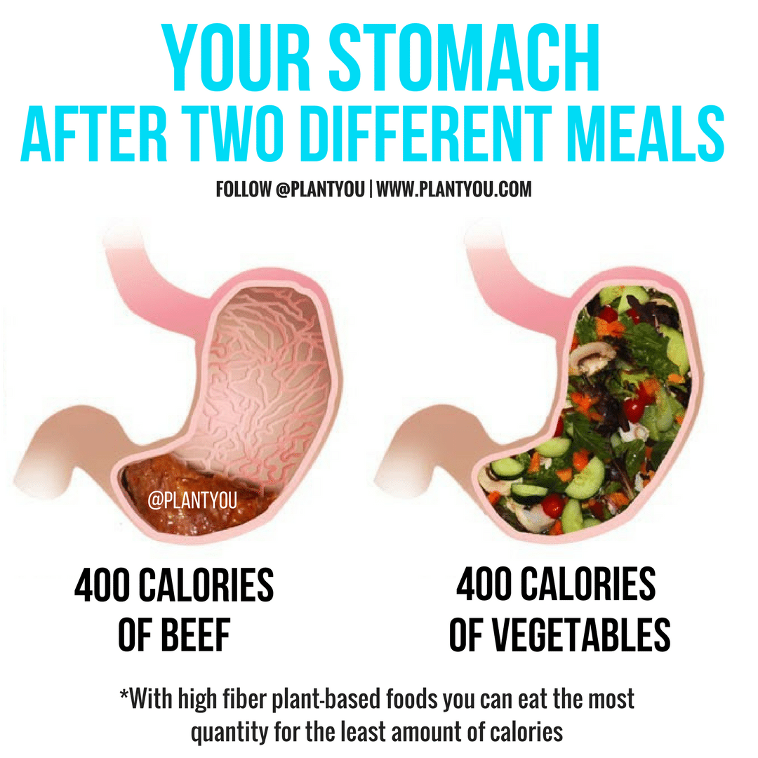 The Reason Why So Many People Lose Weight On A Plant Based